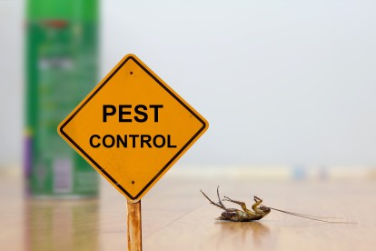 Pest Contol in South Ockendon, RM15. Call Now 020 8166 9746